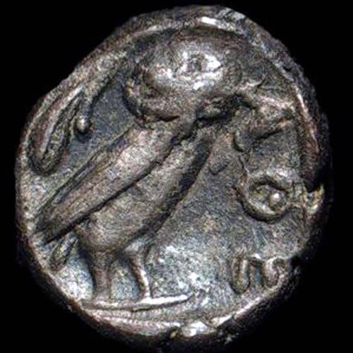 AmScope SM-1BNX Microscope 3.5X-45X