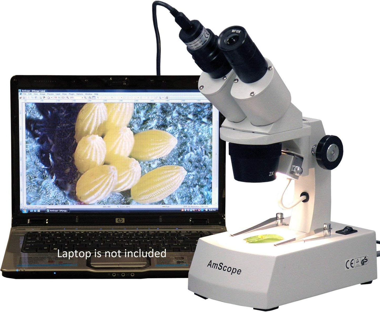 AmScope SE306R-A-E Digital Stereo Microscope