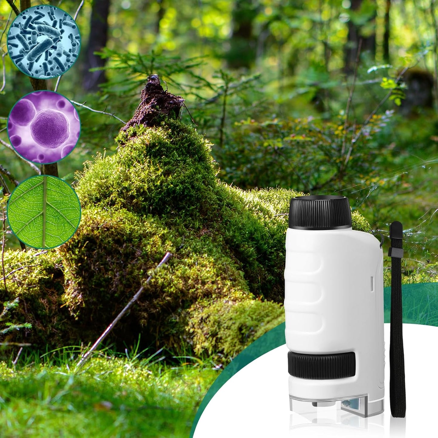 6-Pack Pocket Microscope 60x-120x LED – White