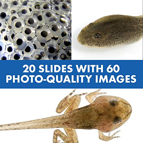 GeoSafari Jr. Talking Kids Microscope – Ages 3+