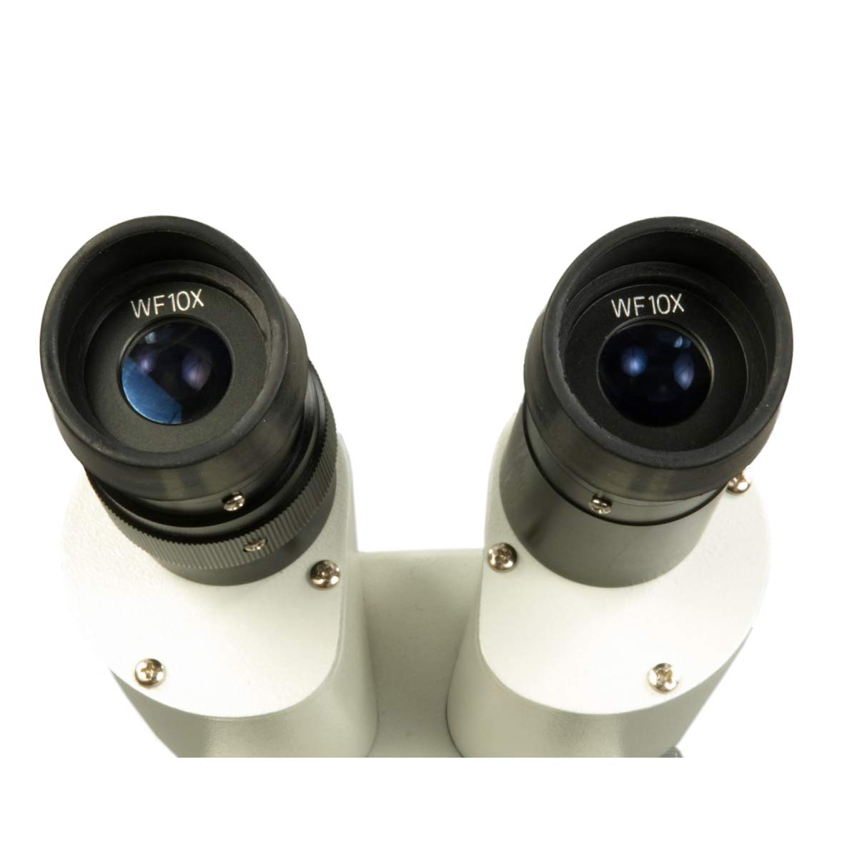 OMAX Binocular Stereo Microscope 10X-30X