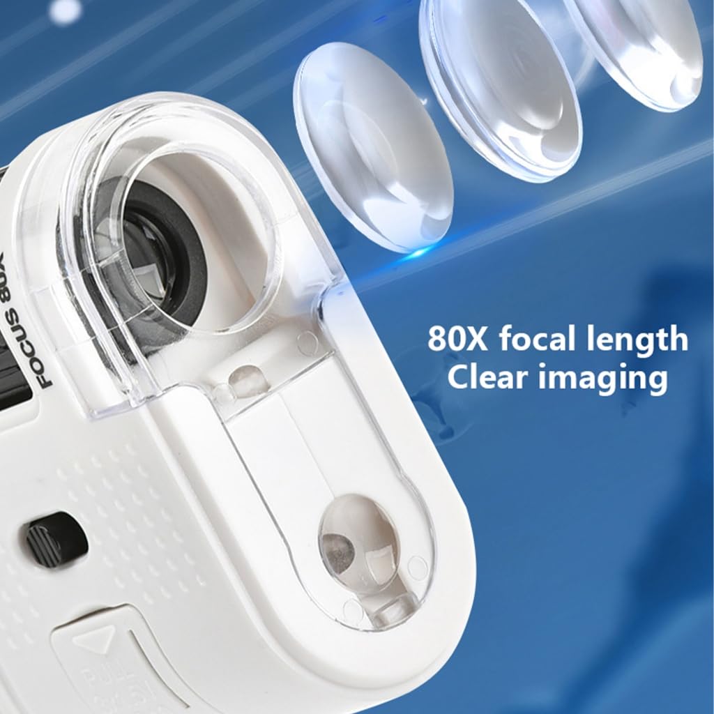 Educational 1000X Mini Microscope