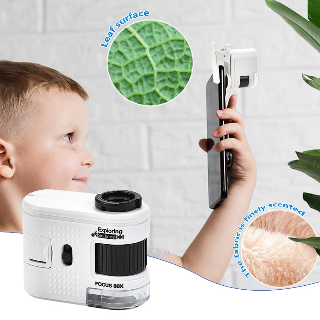 Educational 1000X Mini Microscope