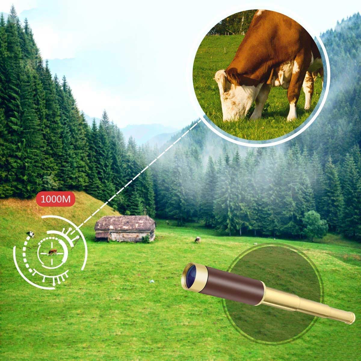 25x30 Pirate Monocular Telescope