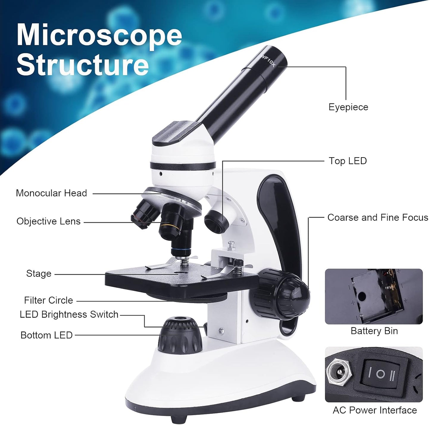 BEBANG 2000X & 120X Microscope Kit