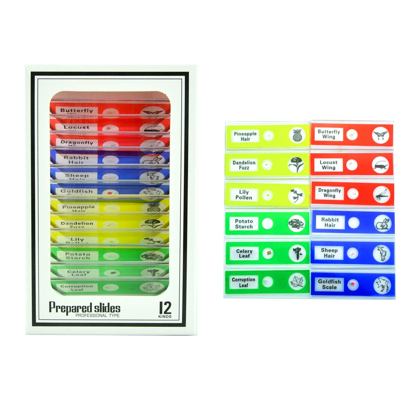 Kids Beginner Microscope Kit