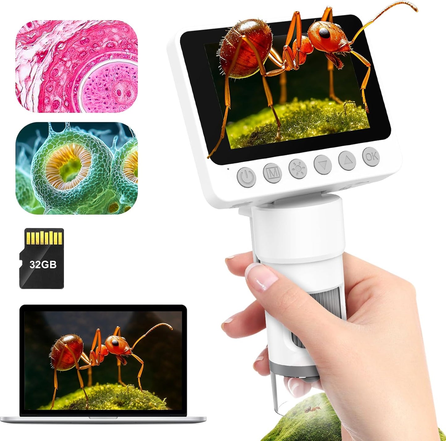 Portable Digital & Pocket Microscope
