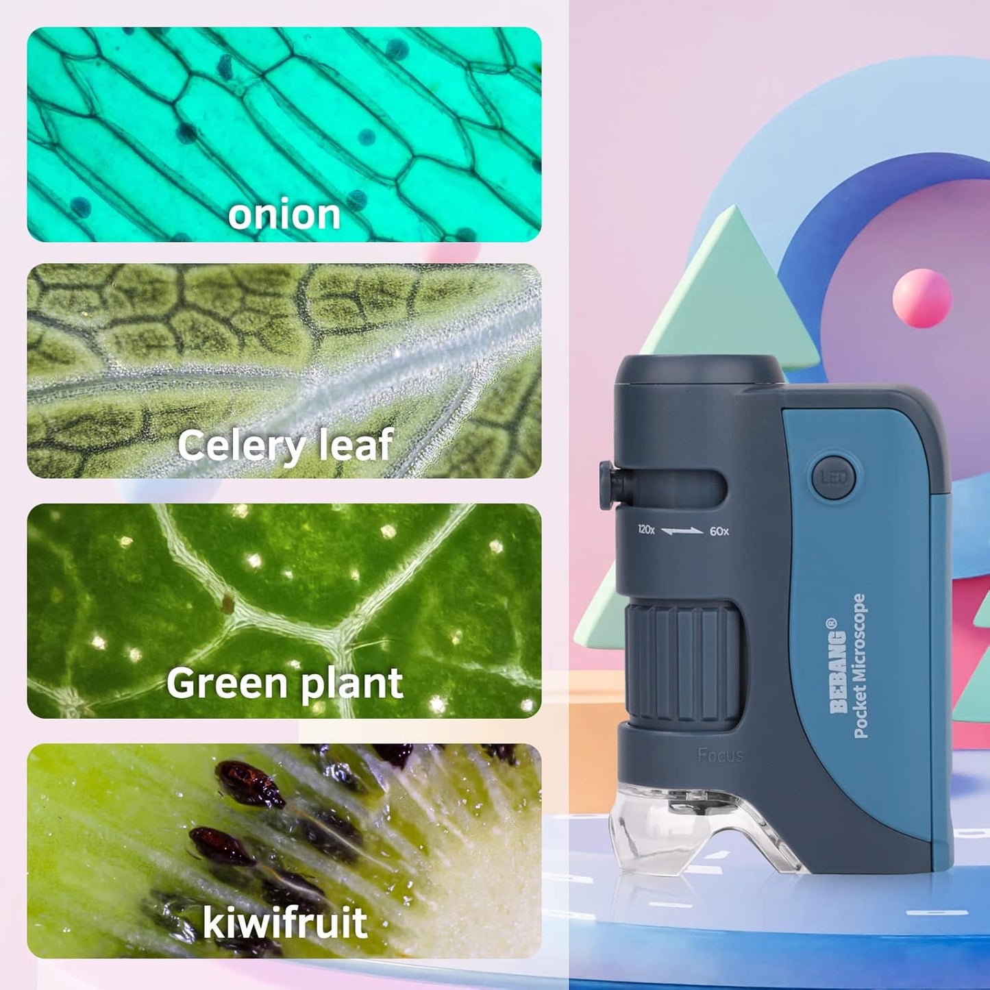 BEBANG 2000X & 120X Microscope Kit