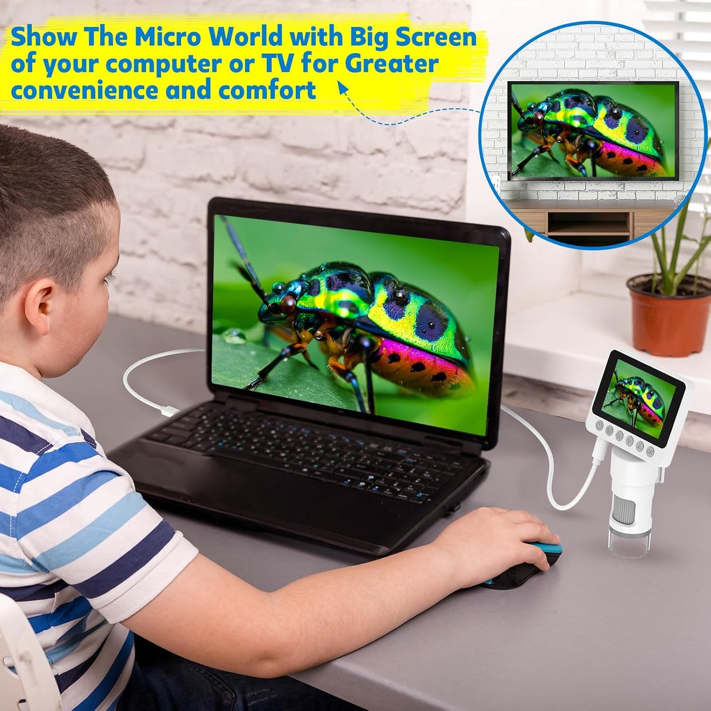 Portable Digital & Pocket Microscope