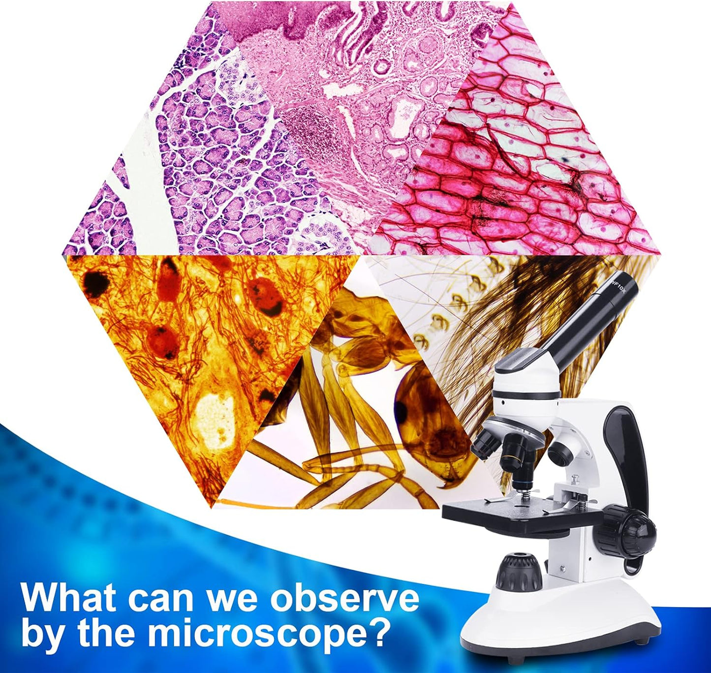 BEBANG 2000X & 120X Microscope Kit