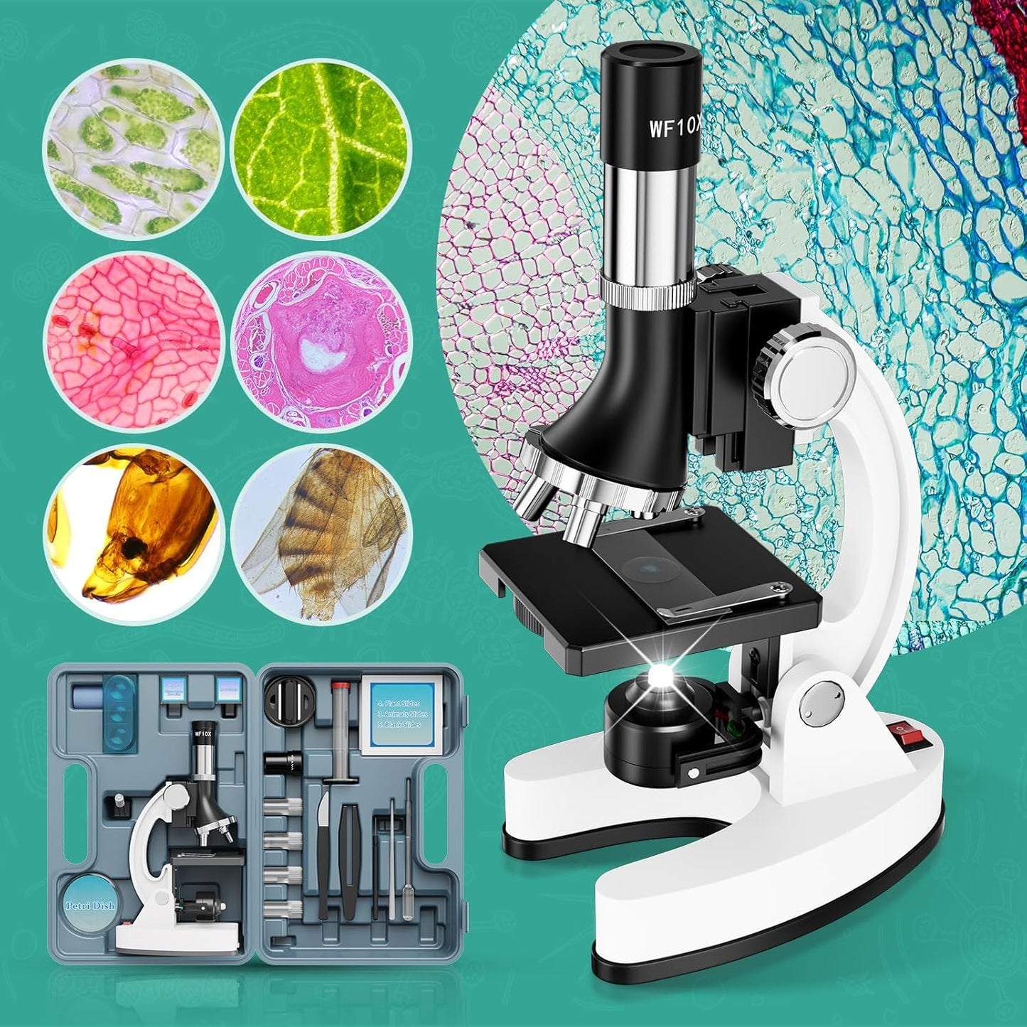 2400X Kids Microscope Science Kit