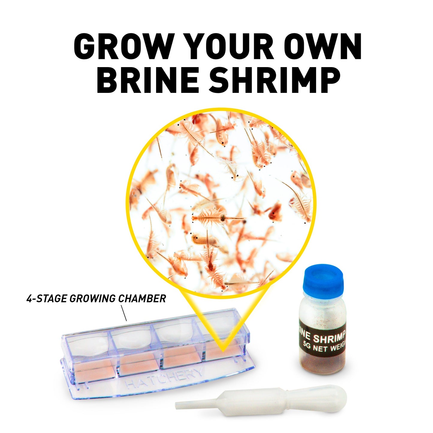 Nat Geo Dual LED Kids Microscope Kit – 50+ pcs