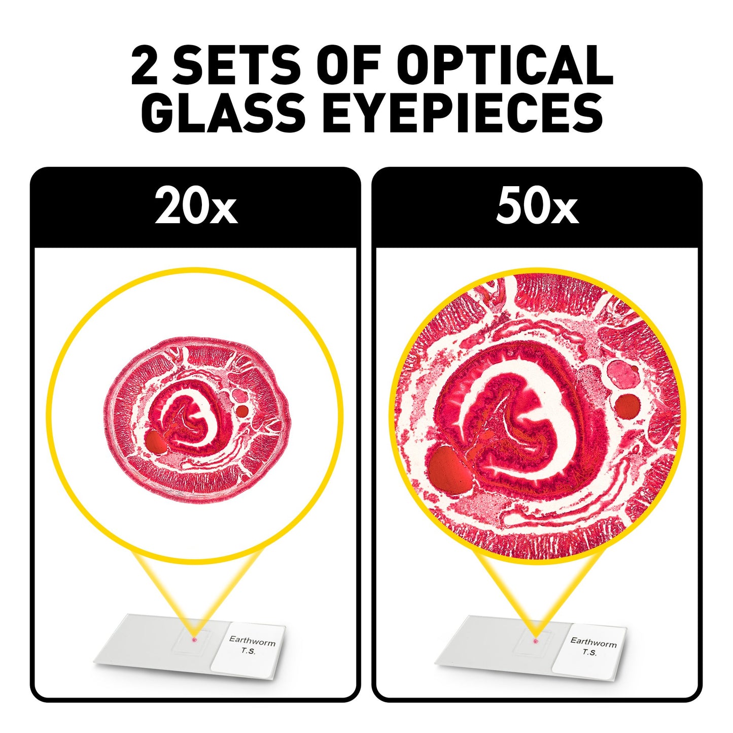 Nat Geo Dual LED Kids Microscope Kit – 50+ pcs