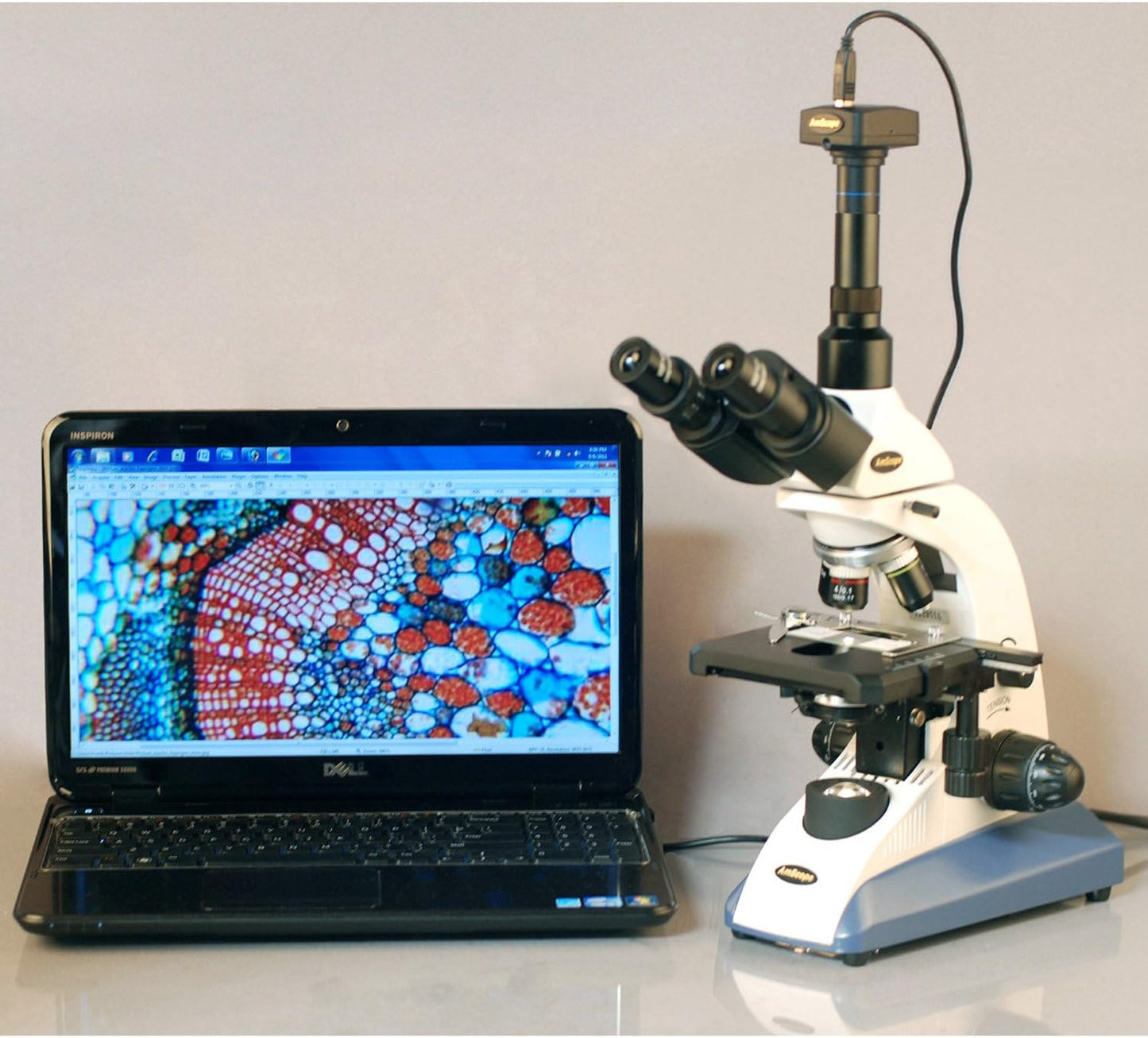 AmScope T520A Microscope 40X-1600X