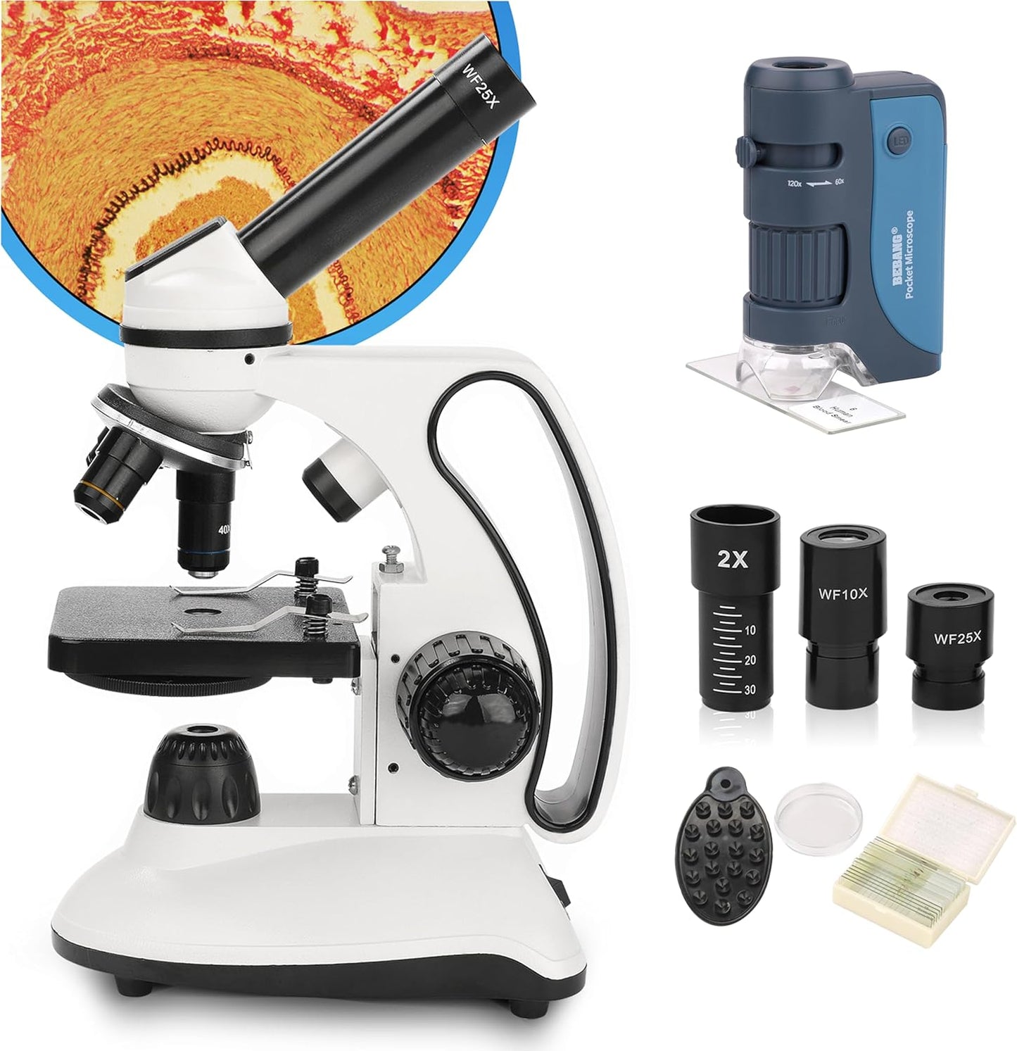 BEBANG 2000X & 120X Microscope Kit