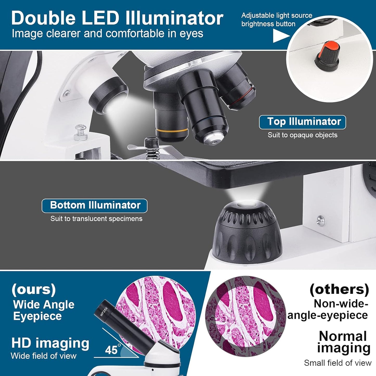 BEBANG 2000X & 120X Microscope Kit