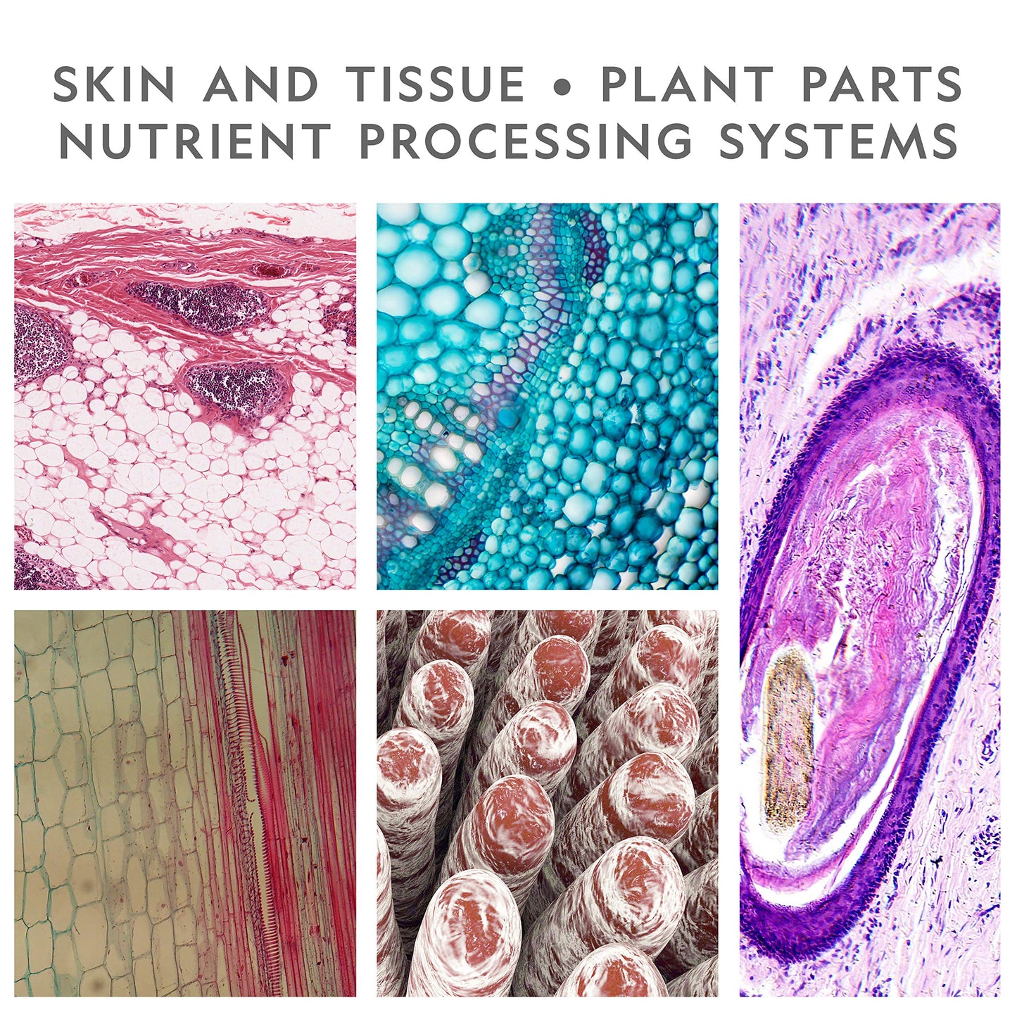 Nat Geo Dual LED Kids Microscope Kit – 50+ pcs